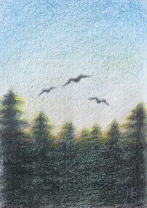 Serene Forest Flight by Mirjam Schrei