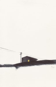 Solitary Evening Light