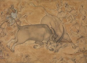 Buffaloes in Combat