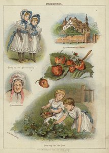 Strawberries by Miss Eliza F. Manning