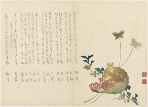 Pomegranate by Miyake Eisai