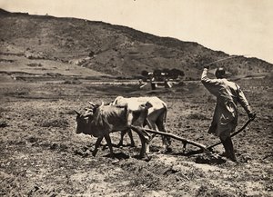 Building an Empire in the Fascist age: ploughing on the altopiano