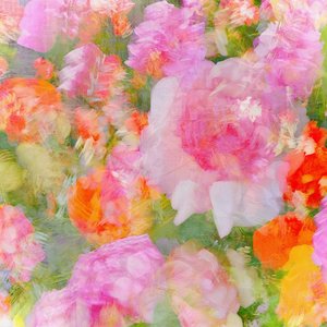 Dreamy Floral Abstract by Molly Fu APA