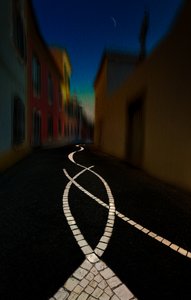 Winding Moonlit Path