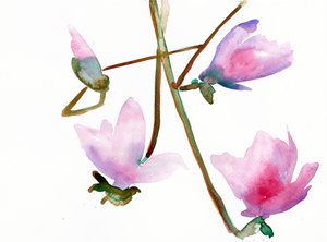 Magnolia 1, 2022