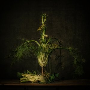 Moody Fennel Still Life