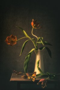 Moody Tulip Still Life by Monique van Velzen