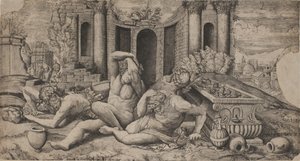 The Wine Harvest