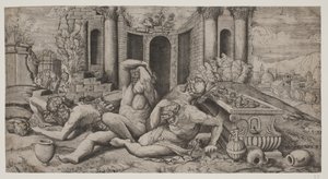 The Wine Harvest