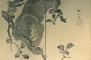 Monkey by Mori Sosen