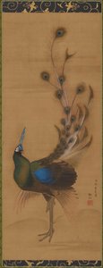 Peacock by Mori Sosen