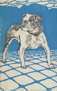 Bulldog by Moritz Jung