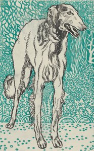 Greyhound by Moritz Jung