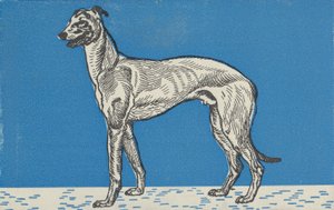 Greyhound, 1912