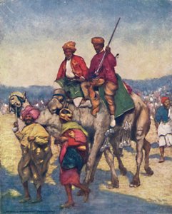 Camels from Mysore, 1903