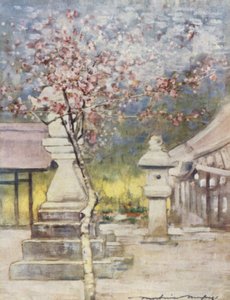 Peach-Blossom