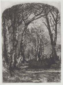 Woods
