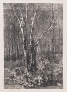 Woods in the Park near Monza by Mose Bianchi