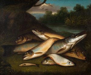 Fish, 1790