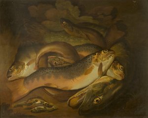 Fishes