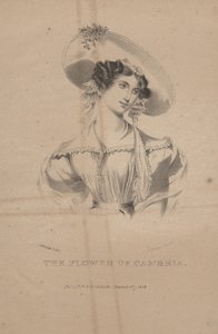 The Flower of Cambria, litho by C.G. Childs by Moses Swett