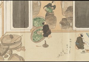 Illustrations of Uji Tea Production by Motonari Sait?