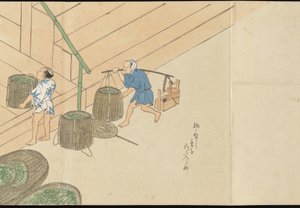 Illustrations of Uji Tea Production