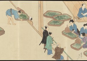 Illustrations of Uji Tea Production by Motonari Sait?