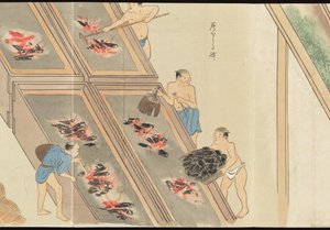 Illustrations of Uji Tea Production by Motonari Sait?