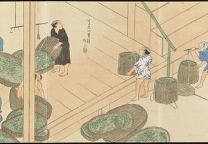 Illustrations of Uji Tea Production by Motonari Sait?