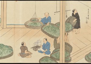 Illustrations of Uji Tea Production by Motonari Sait?