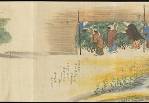 Illustrations of Uji Tea Production by Motonari Sait?