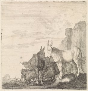 Donkeys by a Wall (Quadrupeds) by Moyses van Wtenbrouck
