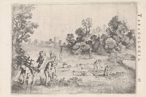 Native Americans Picking Tobacco