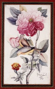 Gul-o Bulbul, c. 1849-50 by Muhammad Baqir