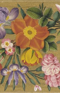 Page from the St. Petersburg Album, India, 1727 by Muhammad Sadiq