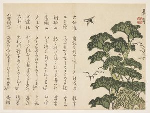 Big Tree and Birds by Murata Kagen