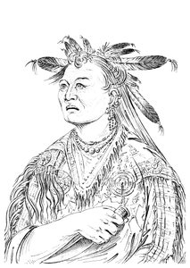 The Bloody Hand, One of the chiefs of the Riccaree tribe