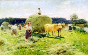 Hay-making