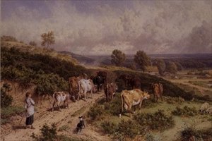 Milking Time: The Young Drover