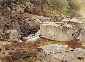 Rocks on the Greta