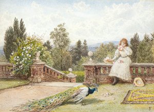 The Terrace