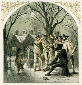 Wassailing fruit trees