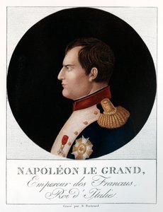 Emperor Napoleon Bonaparte by N. Bertrand