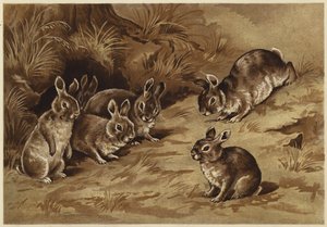 Baby Bunnies by N. Parker