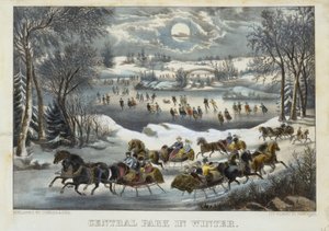 Central Park in Winter