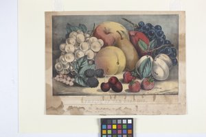 Fruits Of The Season