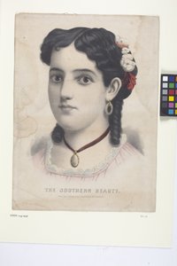 The Southern Beauty