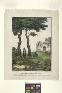 The Tomb And Shade Of Washington