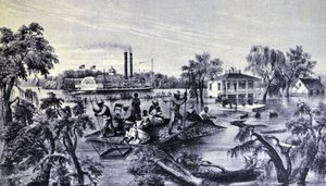 High Water in the Mississippi